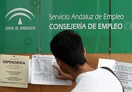 Los migrantes tiran del aumento del empleo juvenil en Málaga