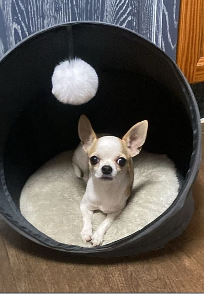 Una fotografía reciente de Betty.