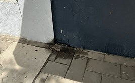 Vista de manchas de orina de perro en la calle Teseo, en Teatinos.