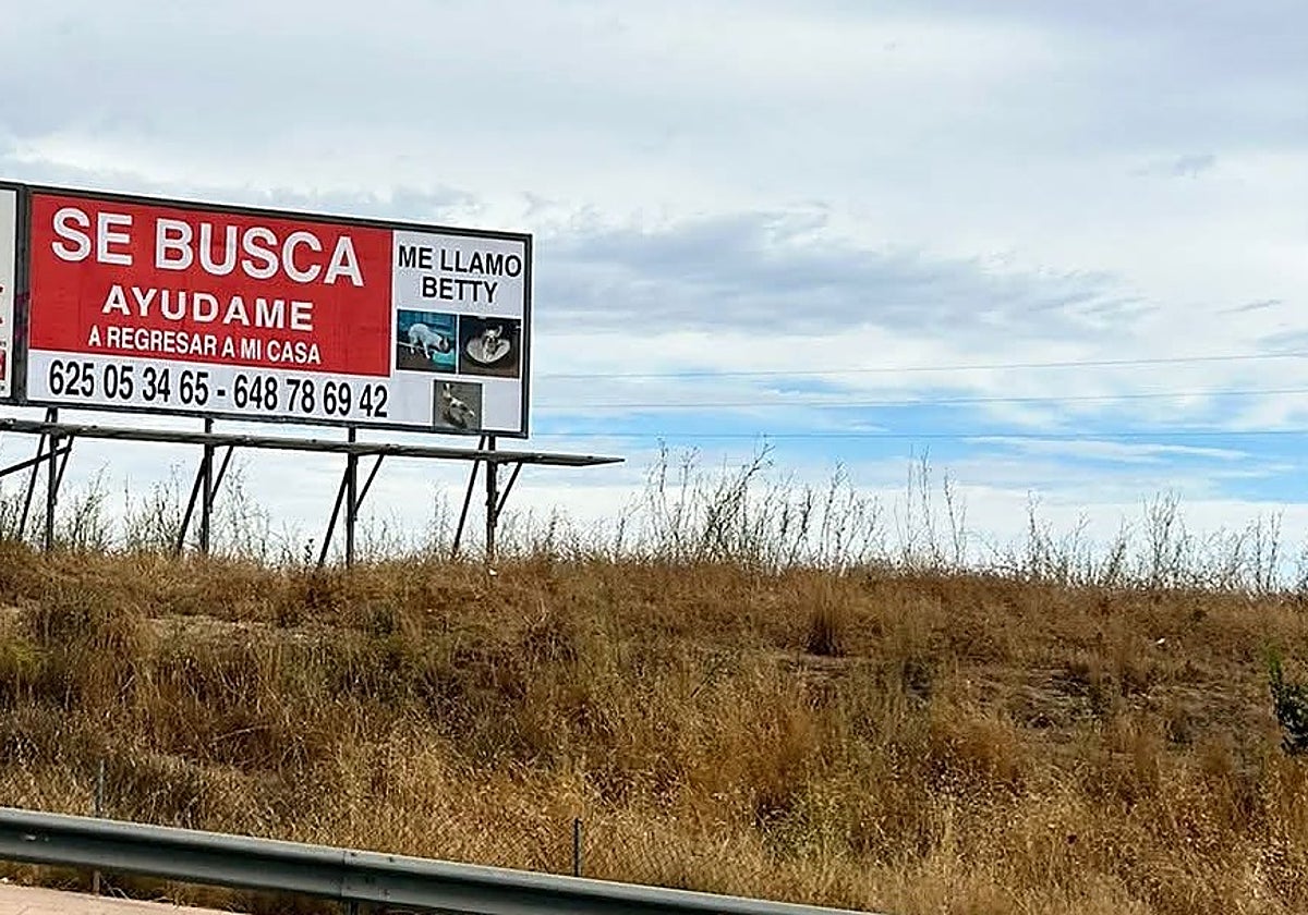 Valla, de 24 metros cuadrados, en la que se pide ayuda para localizar a Betty.