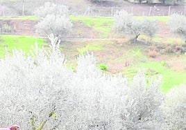 Andalucía es una de las cinco regiones piloto de la Unión Europea que han participado en este ambicioso proyecto.