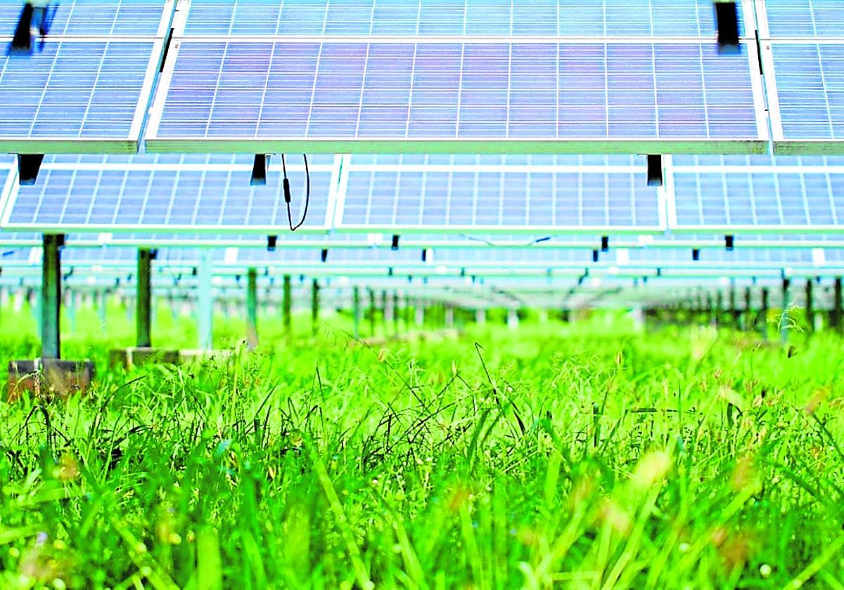 Los cambios afectan a los sistemasagrovoltaicos de modo positivo.