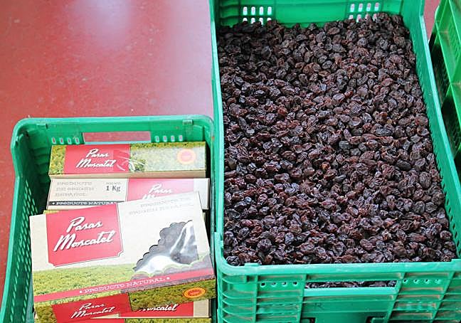 La pasa moscatel de Málaga destaca por sus propiedades saludables.