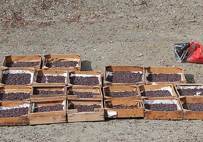 La producción descenderá notablemente.