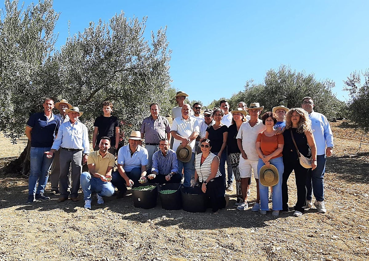 Imagen secundaria 1 - El verdeo de la aceituna Aloreña arranca con buenas perspectivas tras años de sequía