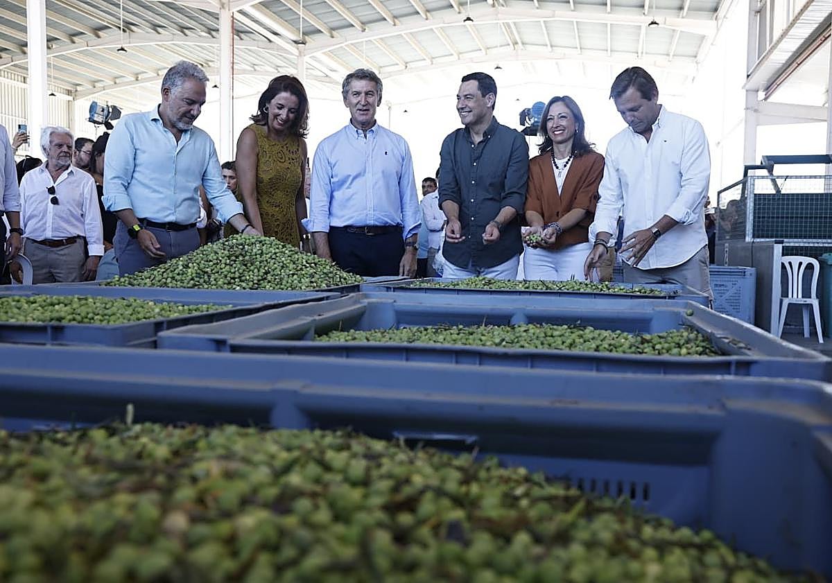 Imagen principal - El PP enciende los fogones de las elecciones andaluzas: Feijóo adquiere cinco compromisos con la región