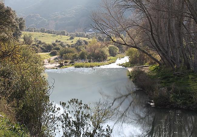 El Guadiaro a su paso por Estación de Benaoján.