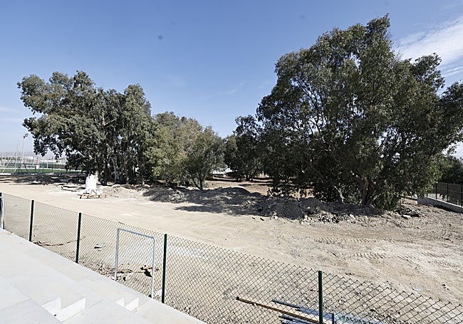 Solar delimitado para el campo 7, si es que se hace realidad.