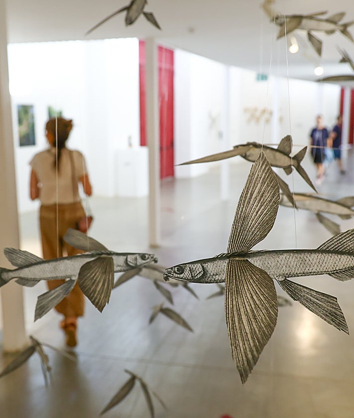 Imagen secundaria 2 - La Malagueta da la alternativa a la fotografía malagueña contemporánea