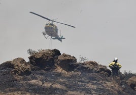 Efectivos de Infoca intervienen durante un incendio en Málaga.