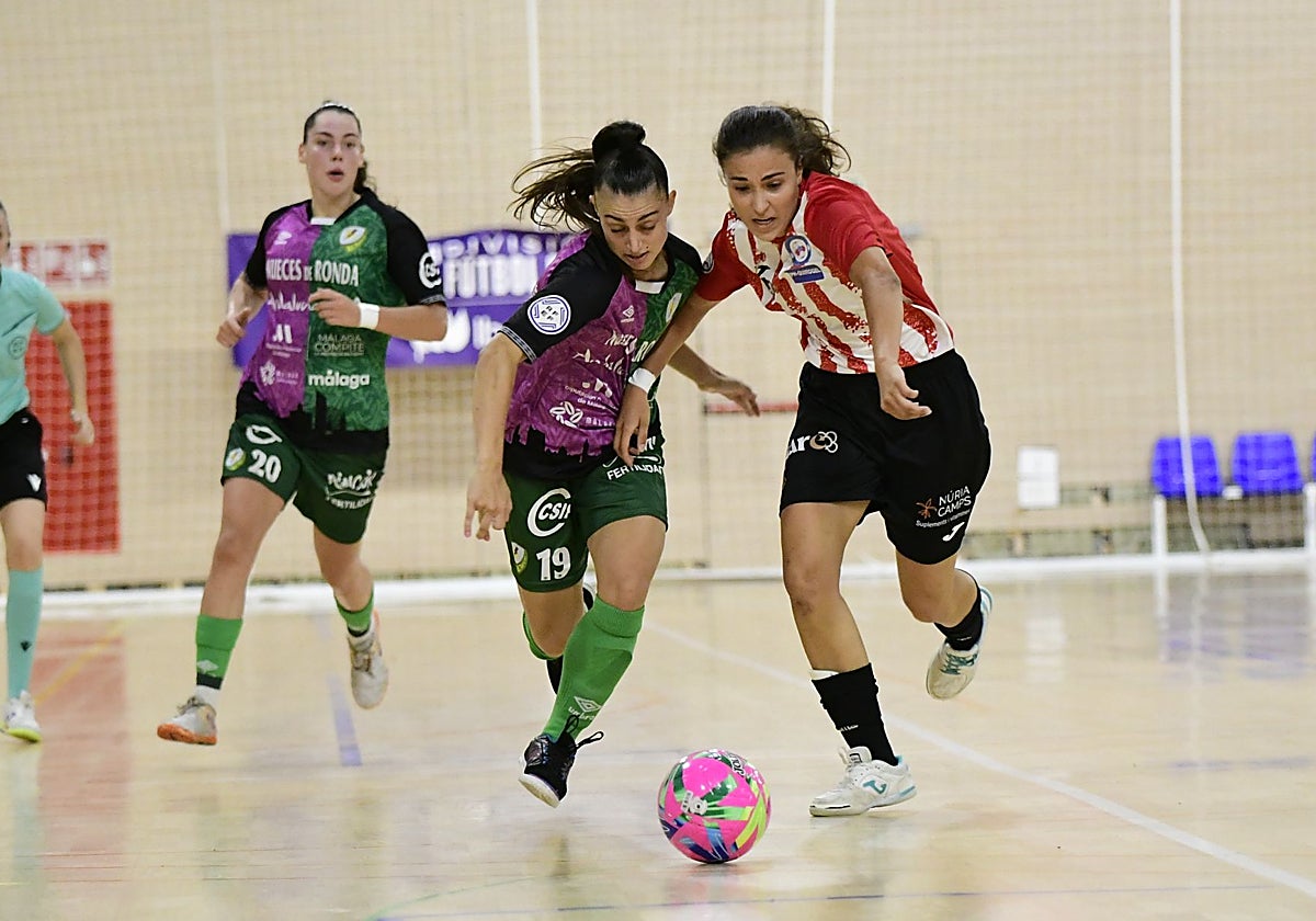 Polideportivo malagueño: El Nueces de Ronda Atlético Torcal, en busca de su primera victoria