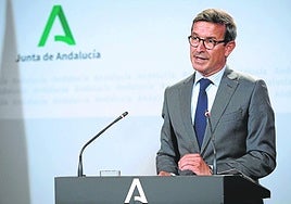 La Junta espera que se mejore la red eléctrica ante el avance andaluz en renovables