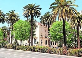 El Paseo del Parque, cerrado al tráfico el domingo