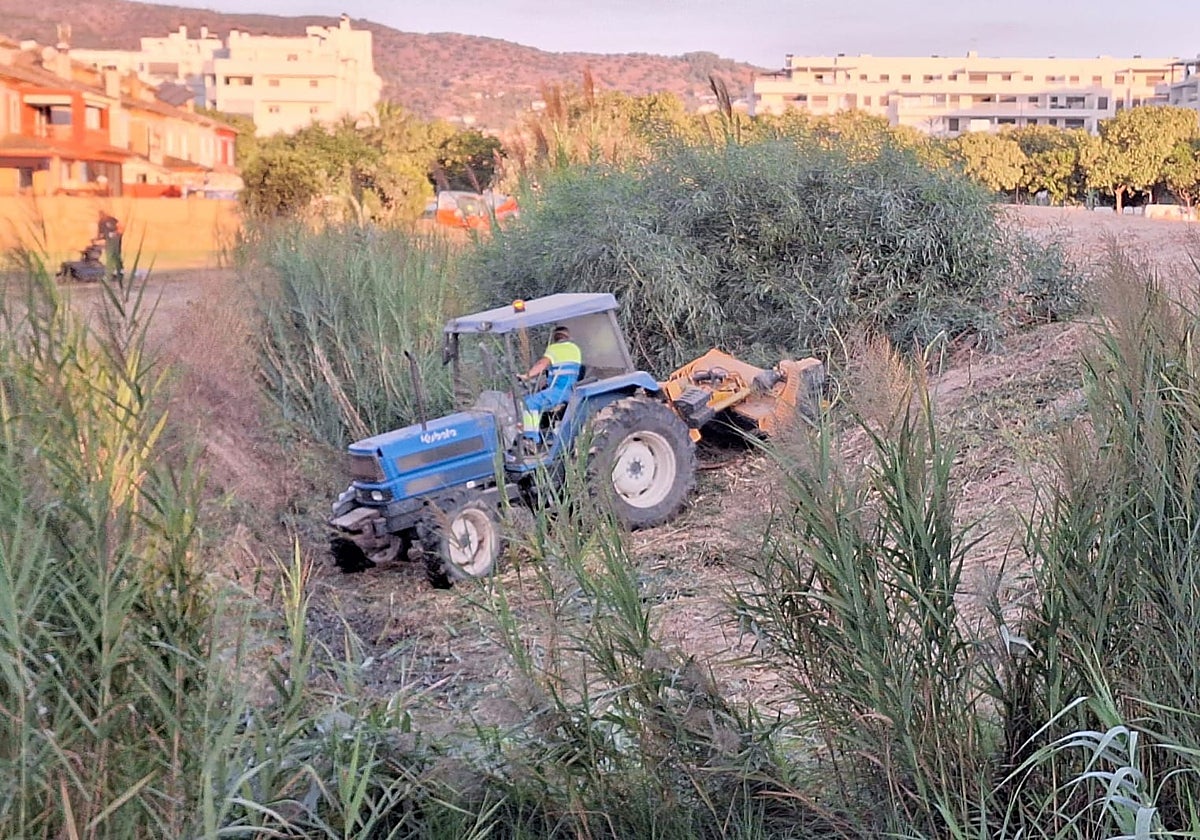Trabajos de limpieza de los cauces de arroyos.
