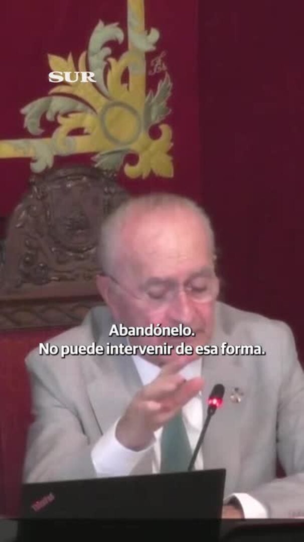 Desalojan de manera pacífica a unos activistas que interrumpieron el pleno del Ayuntamiento de Málaga