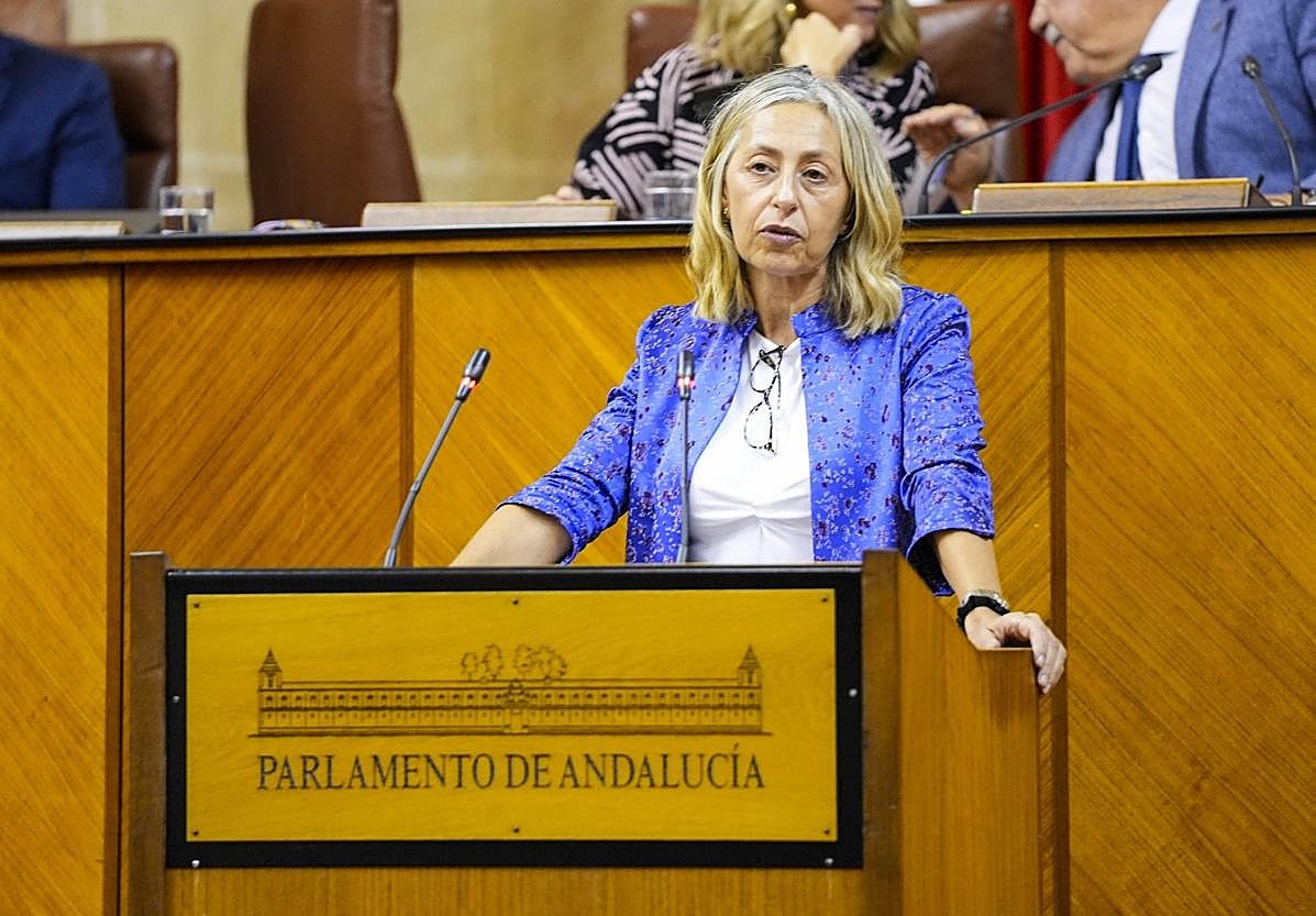 La consejera de Salud, Rocío Hernández, en una imagen de archivo en el Parlamento