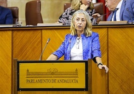 La consejera de Salud, Rocío Hernández, en una imagen de archivo en el Parlamento