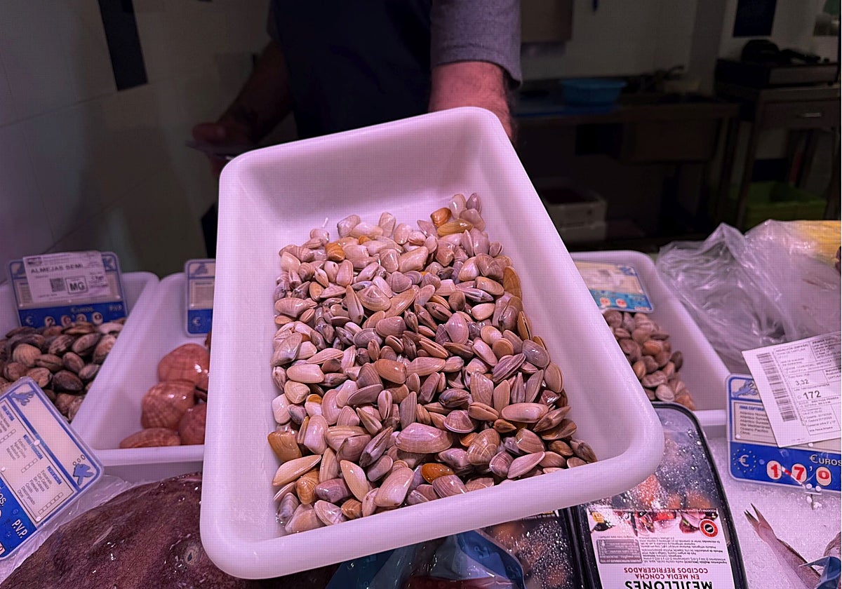 El precio provoca que sean pocas las pescaderías con coquinas. En la imagen una en el mercado de San Pedro Alcántara, en Marbella.