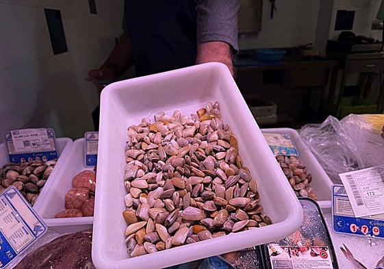 El precio provoca que sean pocas las pescaderías con coquinas. En la imagen una en el mercado de San Pedro Alcántara, en Marbella.