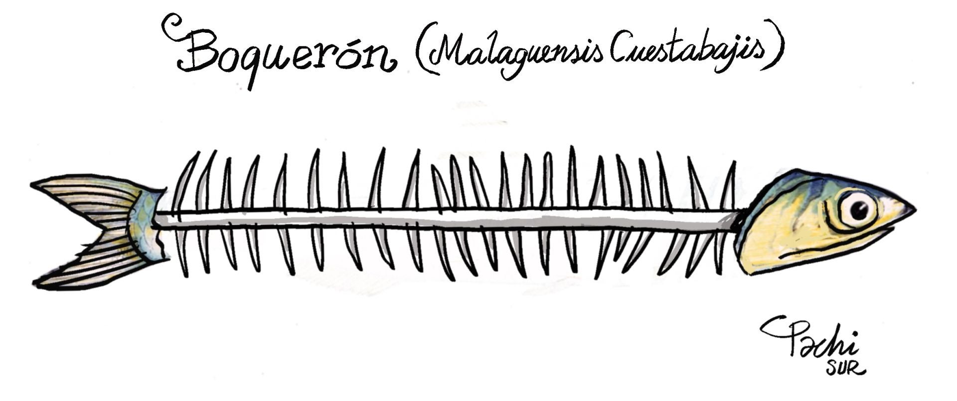 La actualidad deportiva del mes de octubre, en las viñetas de Pachi