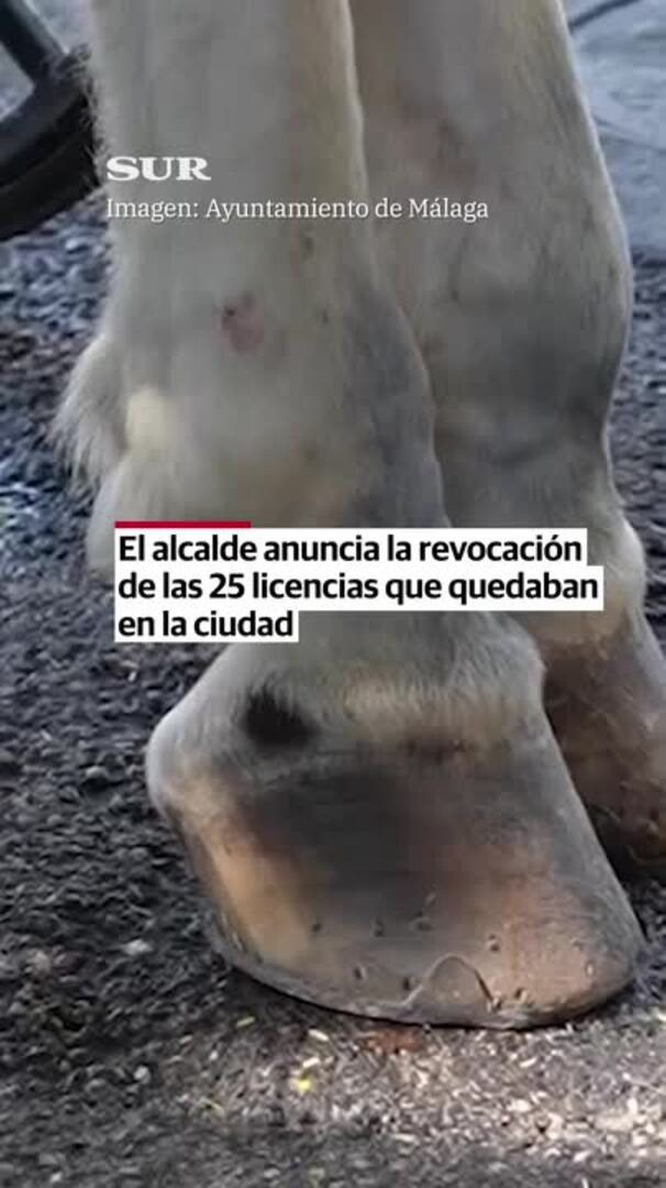 Adiós a los coches de caballos en Málaga