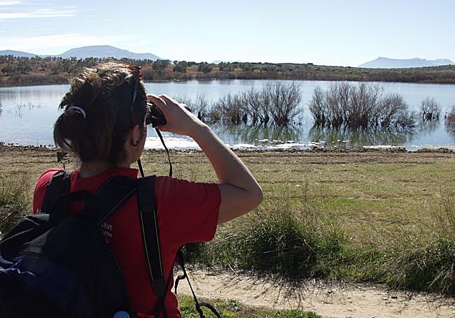 En el entorno de los humedales se pueden observar especies migratorias.