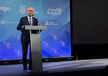 El alcalde defiende la prohibición de los coches de caballo: «Hay alternativas más interesante que llevarlos al sacrificio»