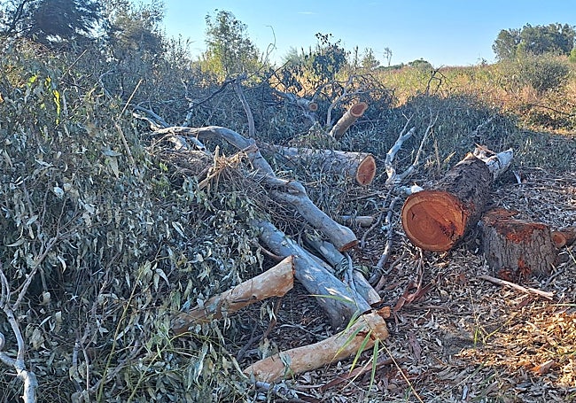 Otro detalle de la intervención.
