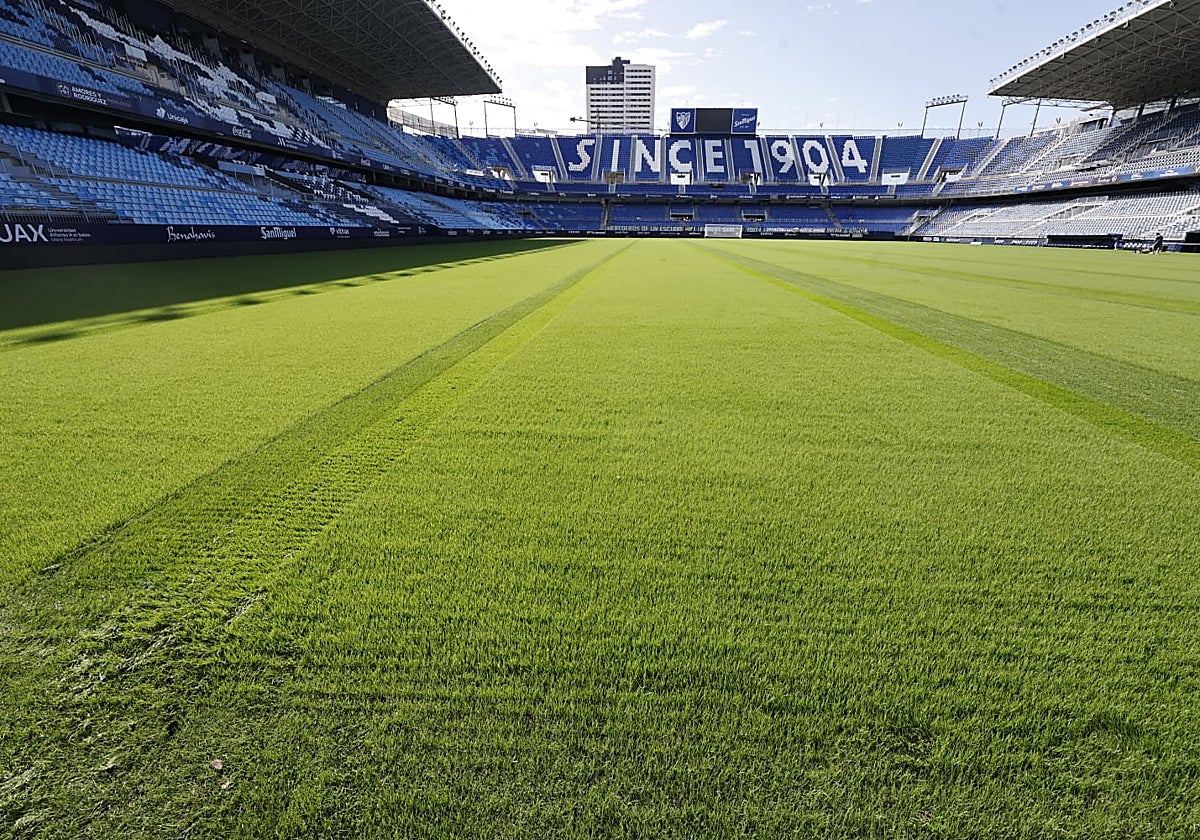 Aspecto del césped de La Rosaleda este miércoles, aún sin las líneas pintadas y en pleno proceso de corte de la hierba.