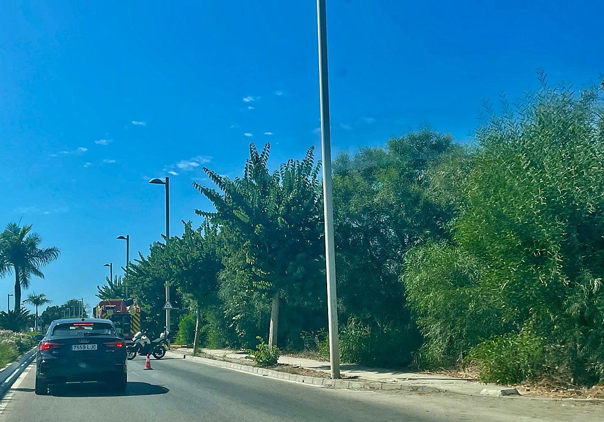 Efectivos de Bomberos del Consorcio Provincial, y de las Policías Local y Nacional han intervenido este miércoles en la zona.
