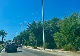 Efectivos de Bomberos del Consorcio Provincial, y de las Policías Local y Nacional han intervenido este miércoles en la zona.