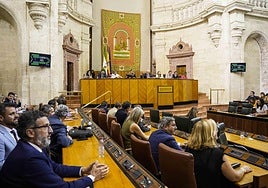 Imagen del Pleno del Parlamento andaluz.