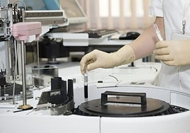 Neurocientíficos destacan el valor estratégico de «investigar el cerebro»