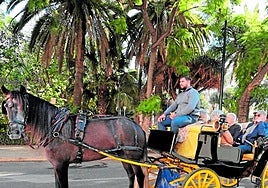 Un coche de caballos en la zona del Parque de Málaga. salvador salas