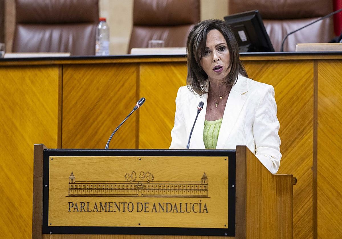 La consejera de Fomento, Rocío Díaz, en su intervención en el Parlamento andaluz.