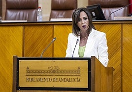 La consejera de Fomento, Rocío Díaz, en su intervención en el Parlamento andaluz.