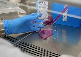 501 investigadores de las universidades públicas andaluzas, entre los más influyentes del mundo