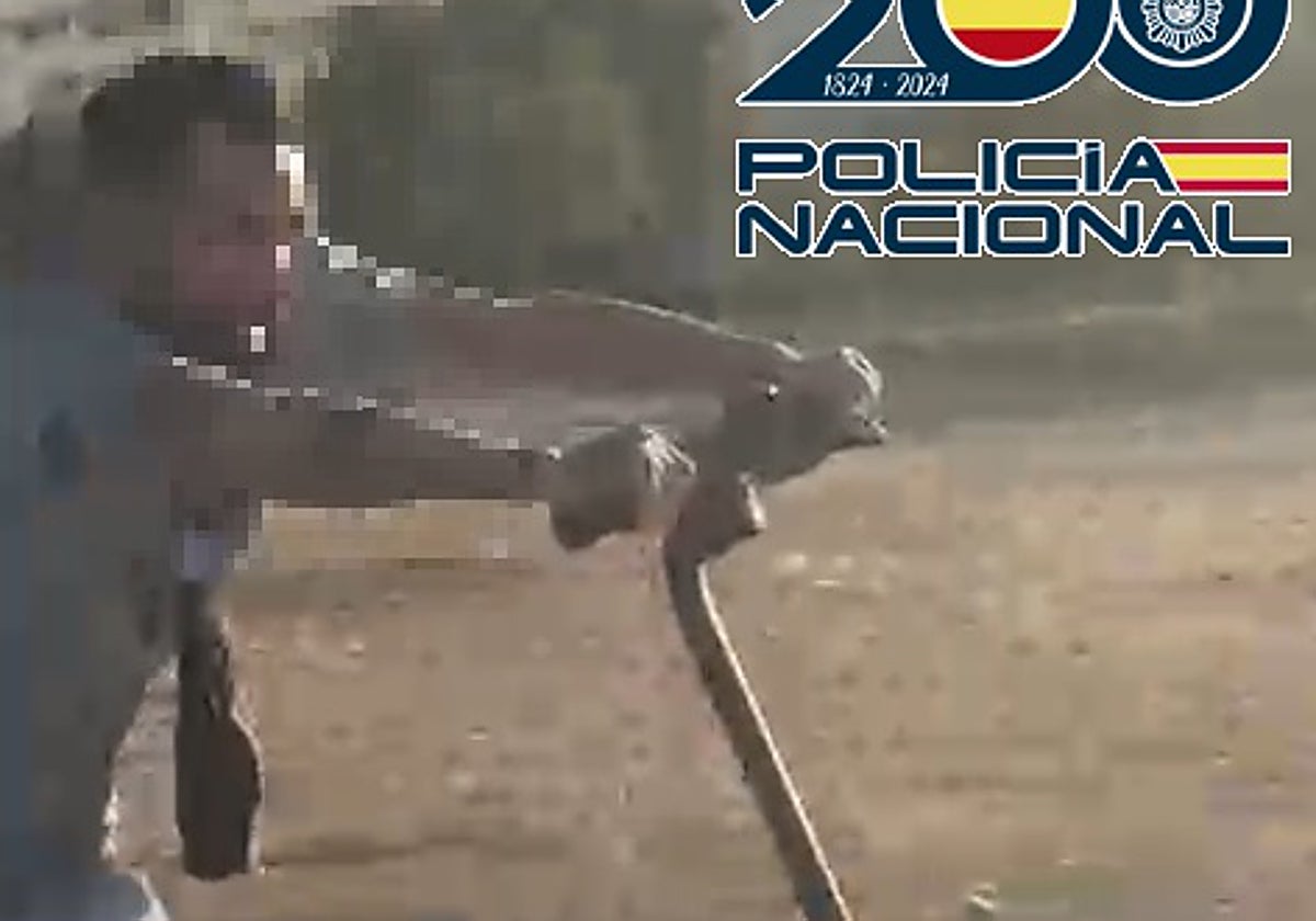 Cae un 'tironero' de cadenas de oro a vecinas mayores de Ciudad Jardín, La Virreina y La Roca