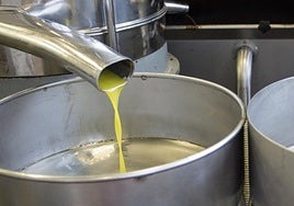 Exprimidora de aceite de oliva en una almazara.