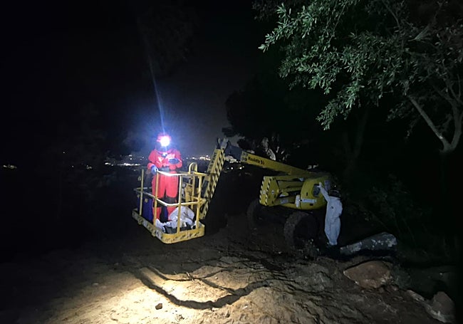 Plataforma elevadora utilizada para ascender hasta la copa del pino donde estaba el nido.