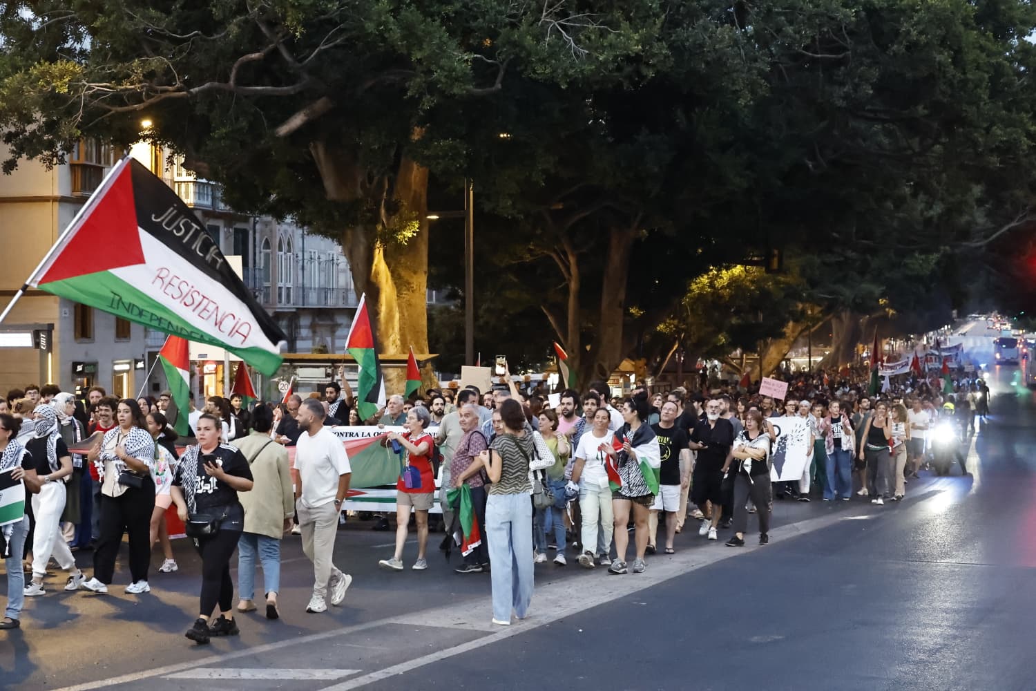 Manifestación por Palestina en Málaga