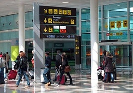 La justicia europea estima que la indemnización por pérdida de un perro en un vuelo debe ser la misma que por una maleta