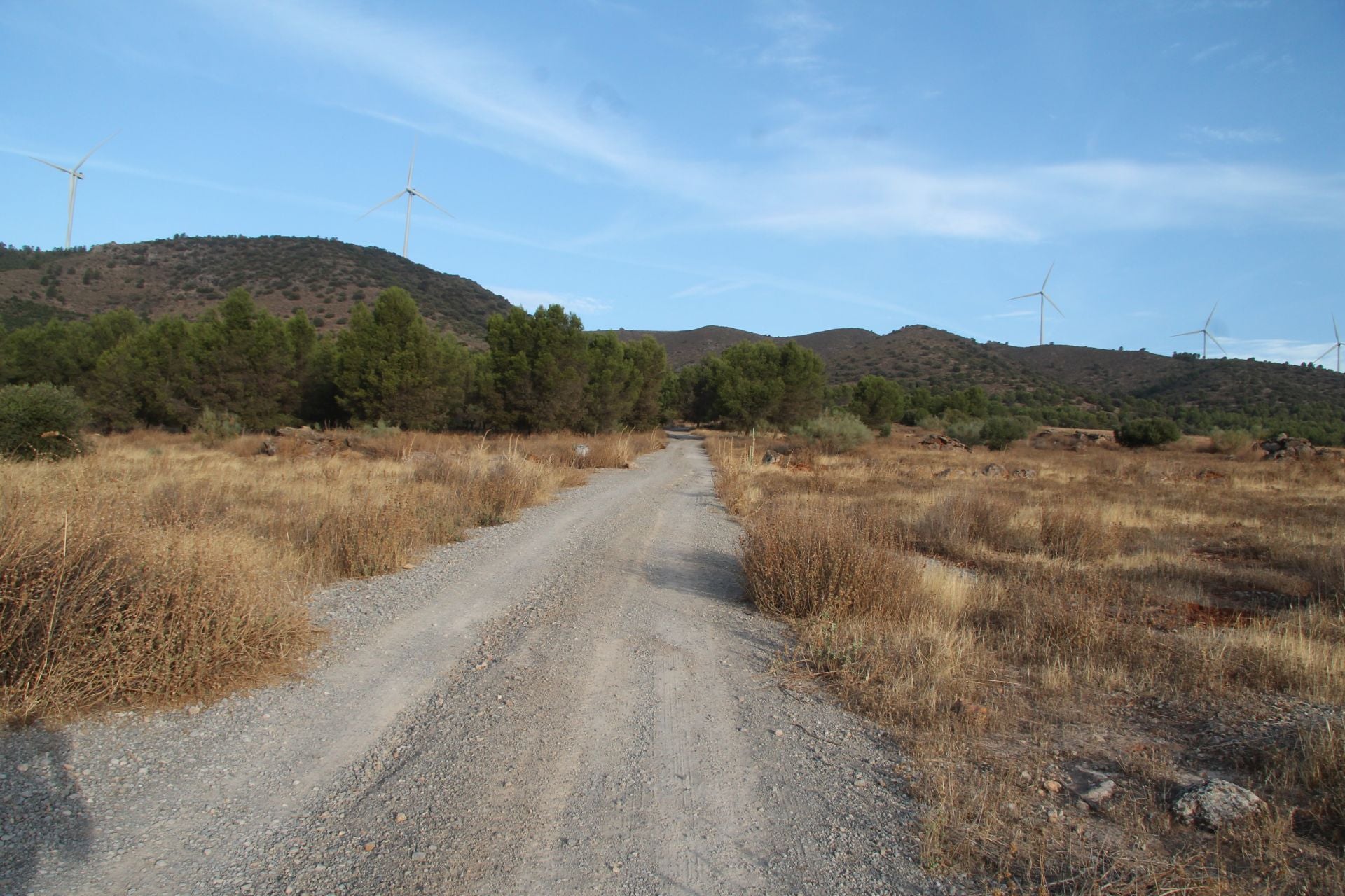 Carril inicial para ascender a la sierra de los Caballos