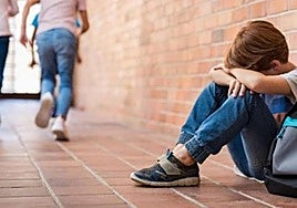 El 'bullying cero' no existe