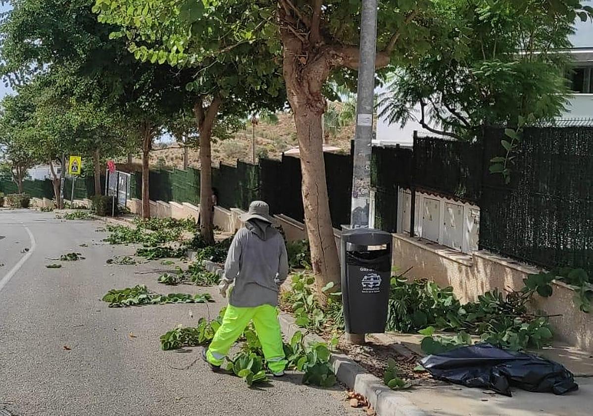 Trabajos en Parque Victoria.