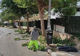 Trabajos en Parque Victoria.