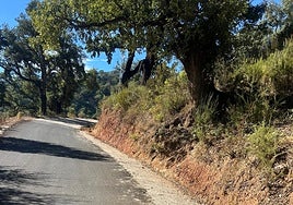 Tramo del camino rural que une Benarrabá y Genalguacil, donde ya se han ejecutado los trabajos de mejora.