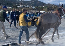 Imagen de una edición del concurso de enganches en Nerja.