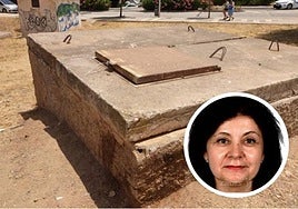 A juicio el hijo de Ángela, la mujer hallada sin vida en una arqueta de Teatinos