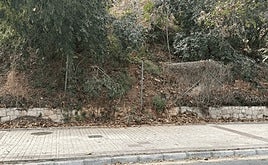 Una de las zonas con brozas y hojas.